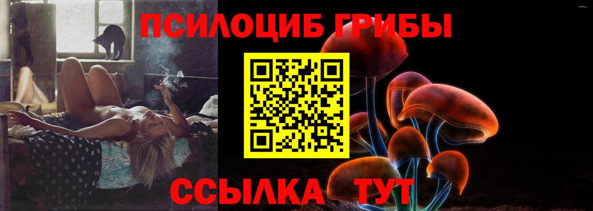 Торжок  Галлюциногенные грибы Psilocybe  Вход с VPN 