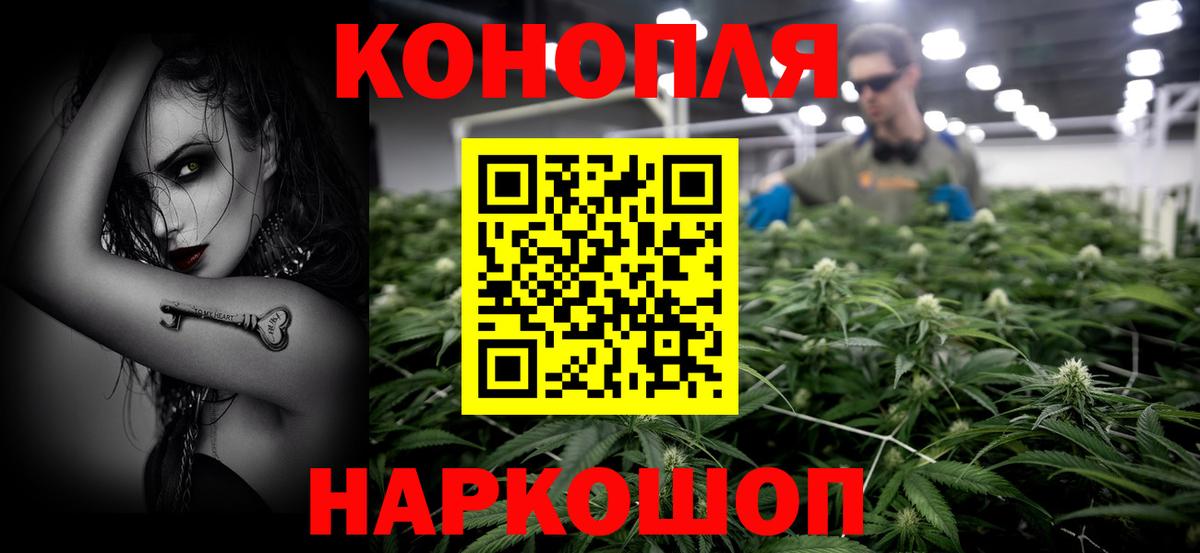 Бошки Шишки сатива Торжок
